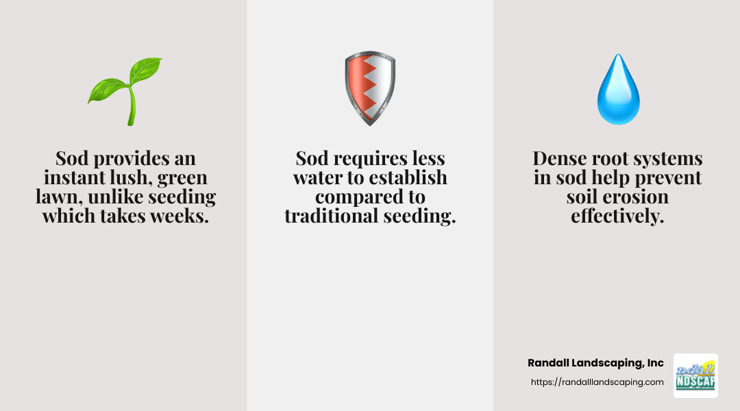 Erosion control benefits of sod installation - commercial sod installation infographic 3_facts_emoji_grey