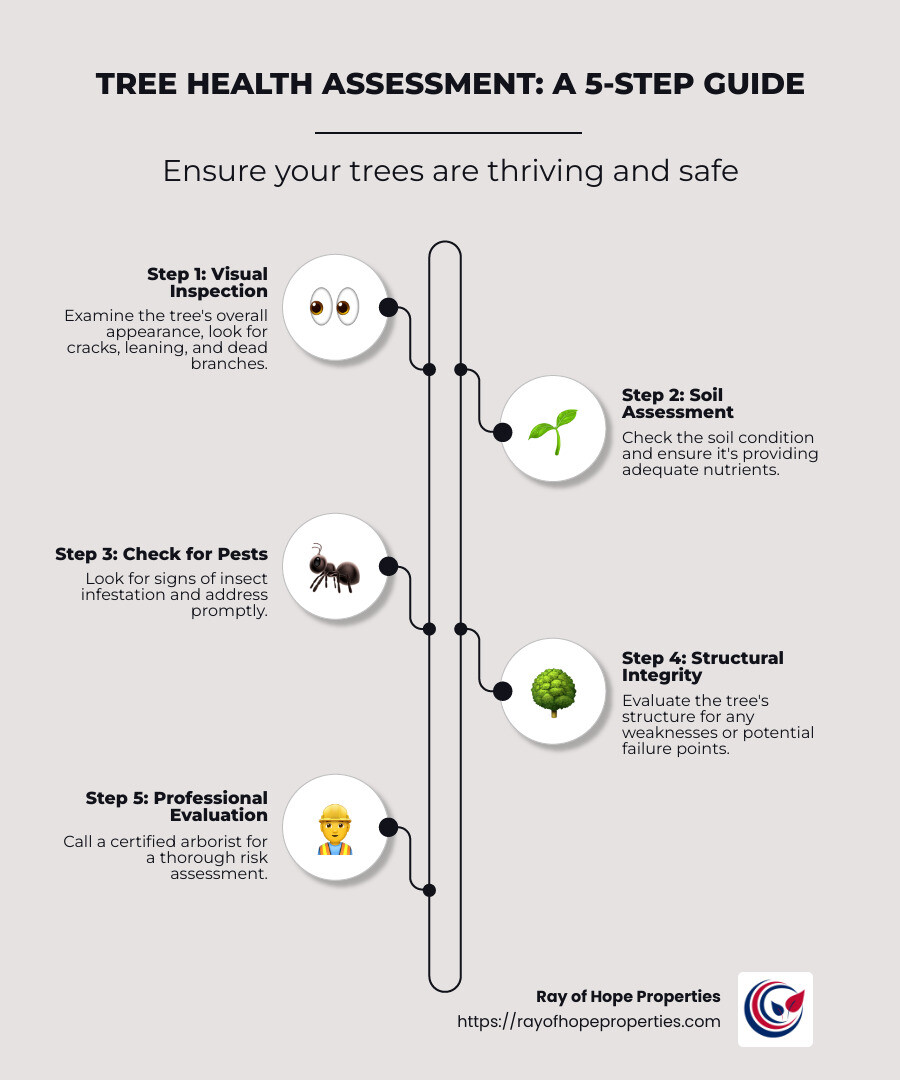 Tree Health Grading Tree health assessment: Top 7 Essential Tips 2025