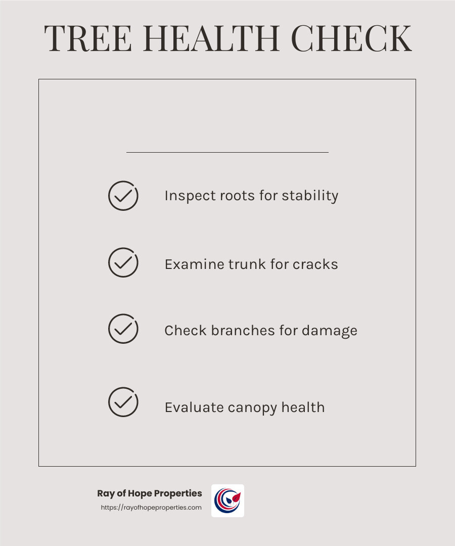Tree health assessment: Top 7 Essential Tips 2025