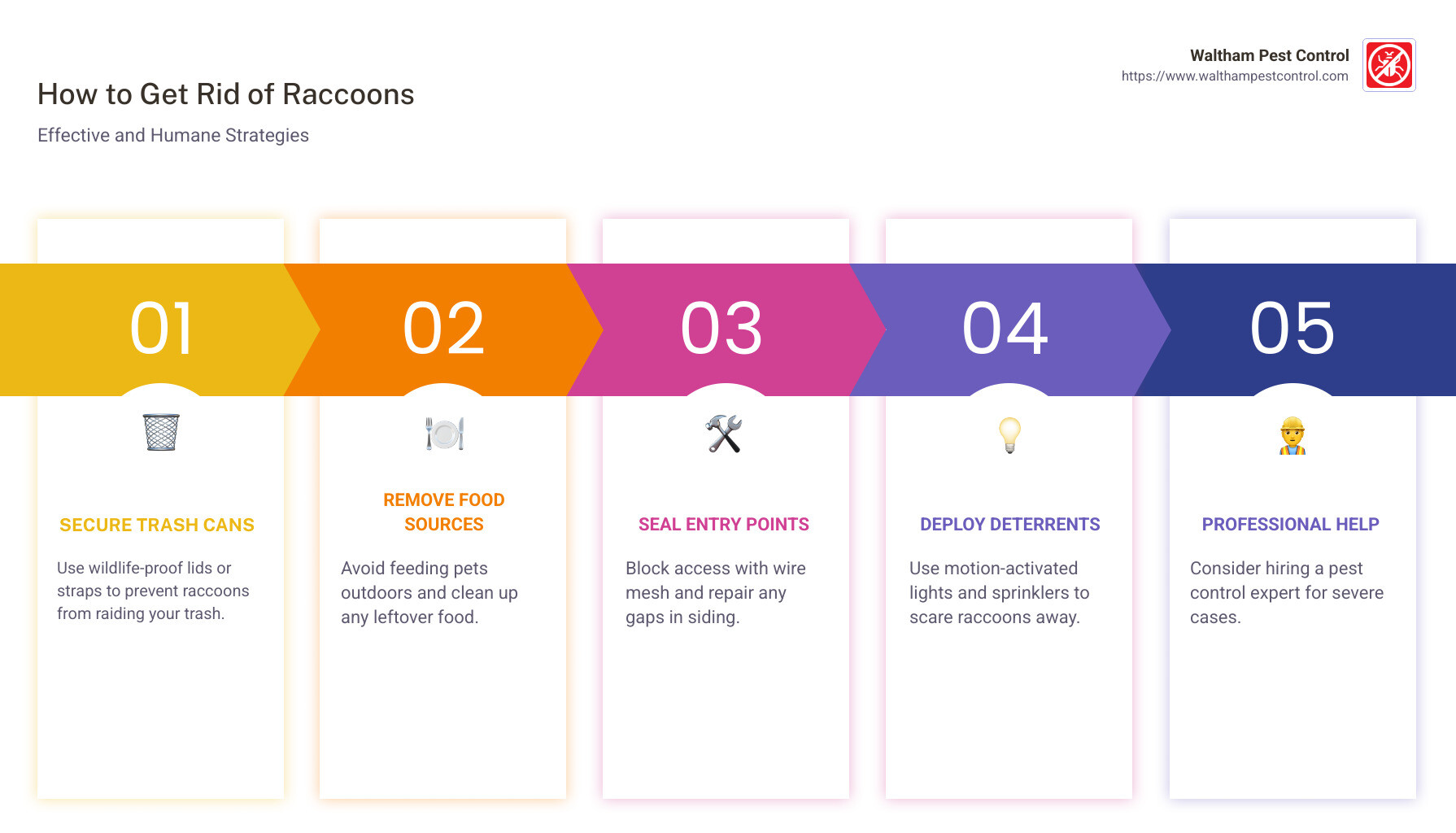 Comprehensive infographic on humane raccoon removal strategies, including securing trash, using deterrents, and sealing entry points. - how to get rid of racoons infographic pillar-5-steps