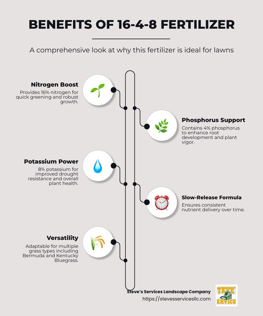 Infographic detailing the nutrients and benefits of 16-4-8 fertilizer - fertilizer 16 4 8 infographic infographic-line-5-steps-neat_beige
