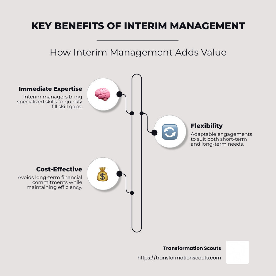 Infographic detailing immediate access to specialized expertise, flexibility in engagement duration, and illustration of cost-effectiveness and strategic contributions of interim management - interim management recruitment infographic infographic-line-3-steps-neat_beige