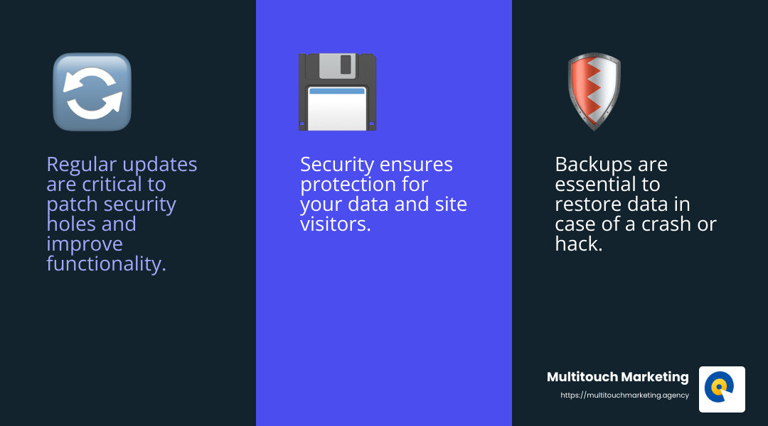 Backup strategy infographic - wordpress maintenance cost infographic 3_facts_emoji_blue