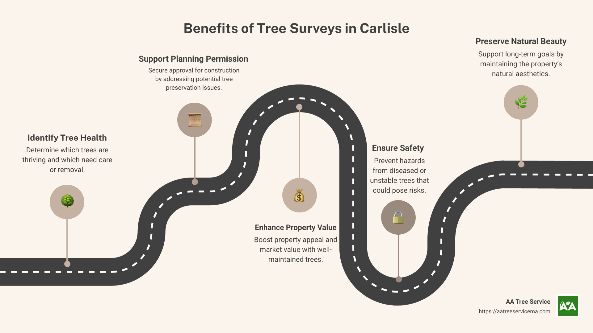 Infographic detailing the benefits of tree surveys: identifying tree health, supporting planning permission, enhancing property value and aesthetics, ensuring safety - tree surveys carlisle infographic roadmap-5-steps