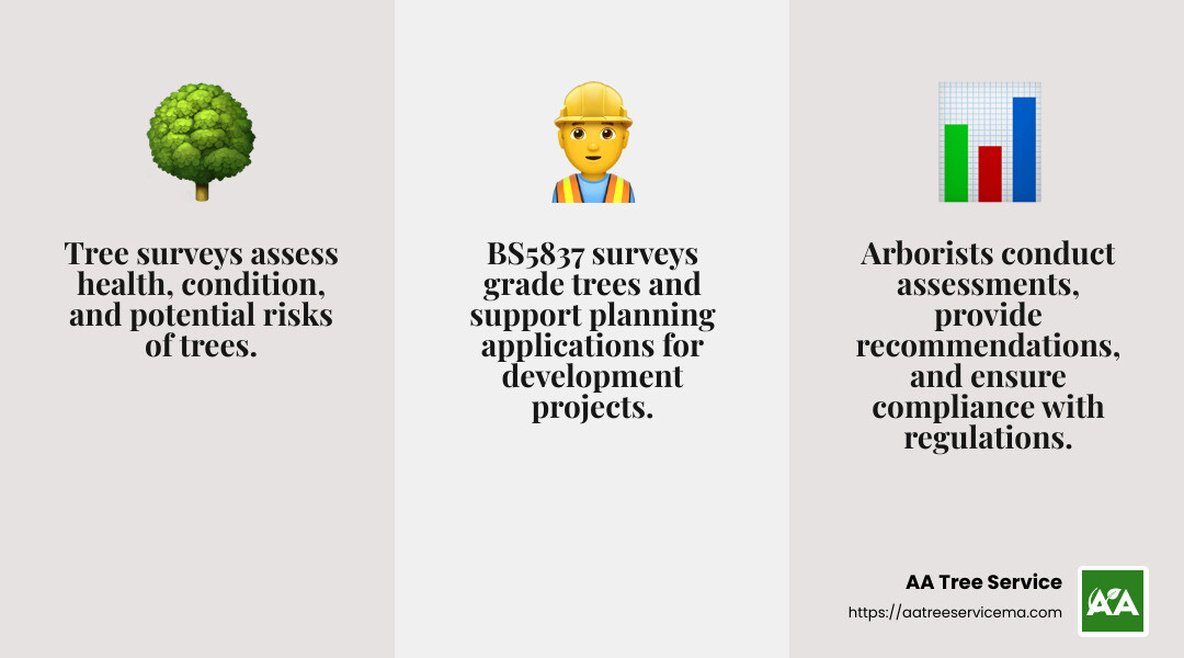 Tree Survey Infographic - tree surveys carlisle infographic 3_facts_emoji_grey