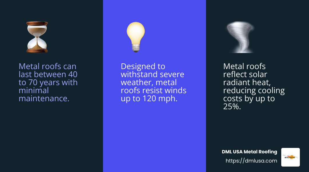 Metal roofing benefits infographic - metal sheet roofing infographic 3_facts_emoji_blue