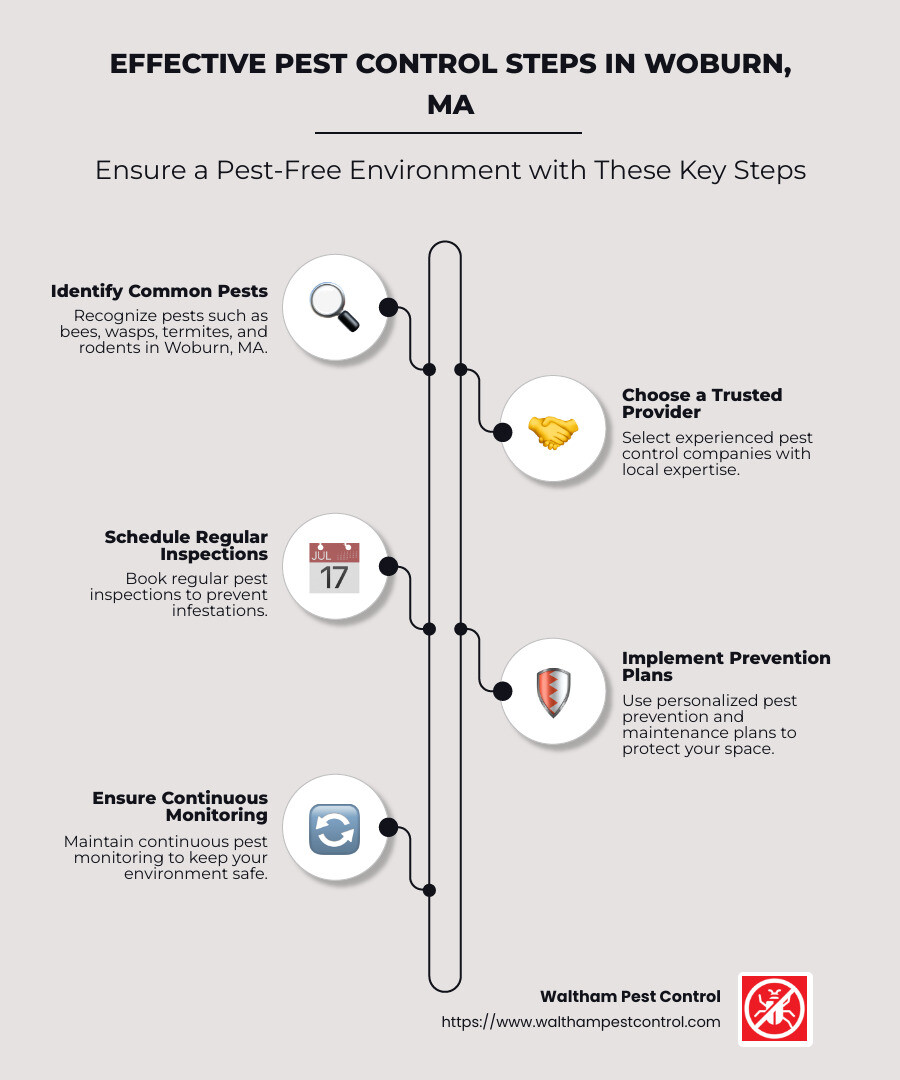 Top Pest Control Companies in Woburn - pest control companies woburn ma infographic infographic-line-5-steps-neat_beige