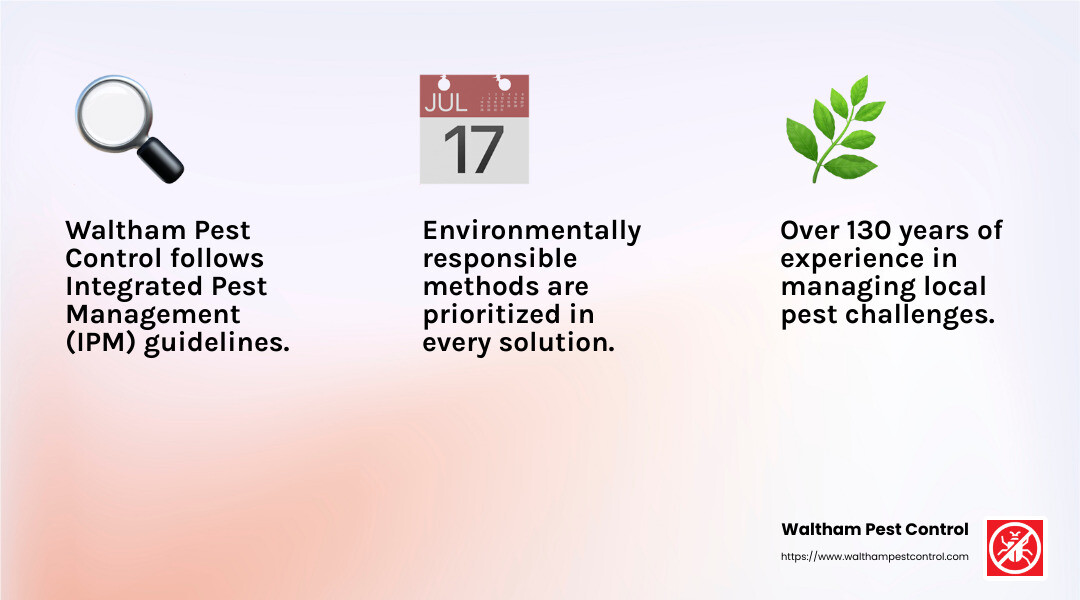 Waltham Pest Control's commitment to quality ensures effective pest management solutions custom to local needs. - pest control companies woburn ma infographic 3_facts_emoji_light-gradient
