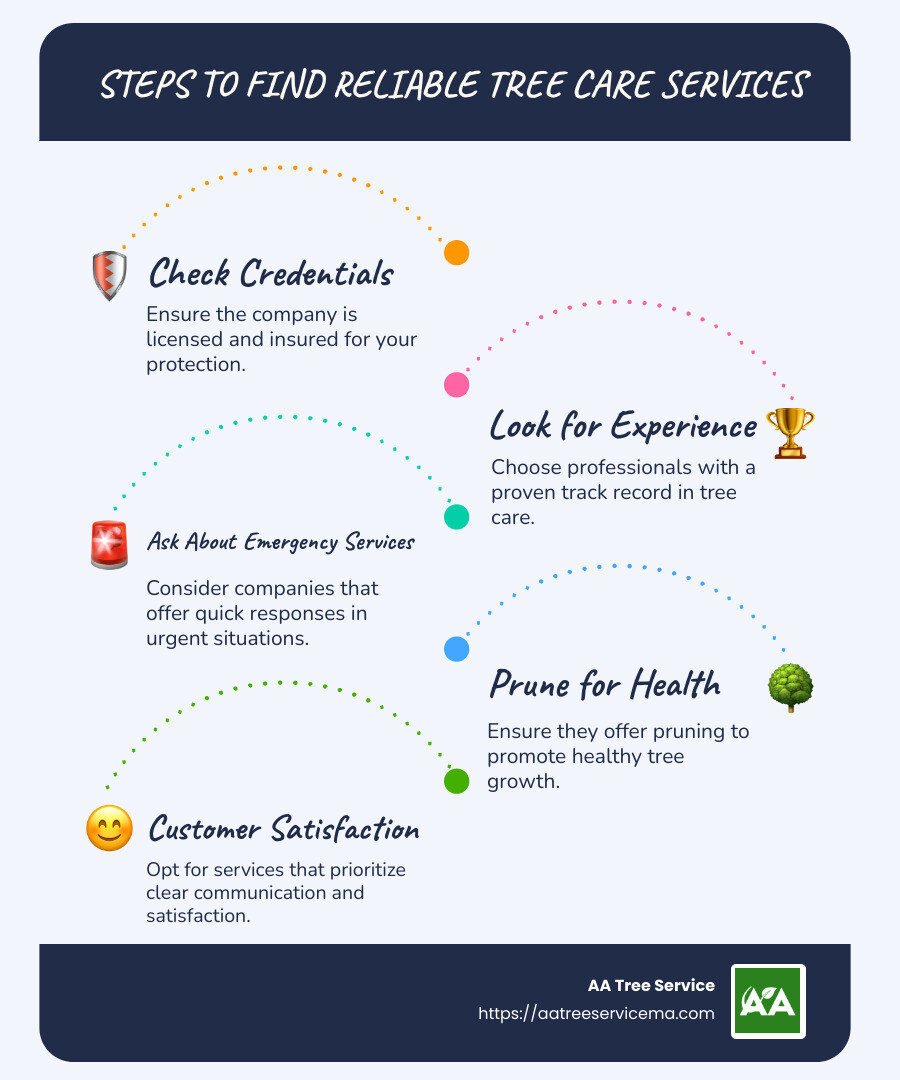 Steps to find reliable tree care services - tree care service near me infographic infographic-line-5-steps-blues-accent_colors
