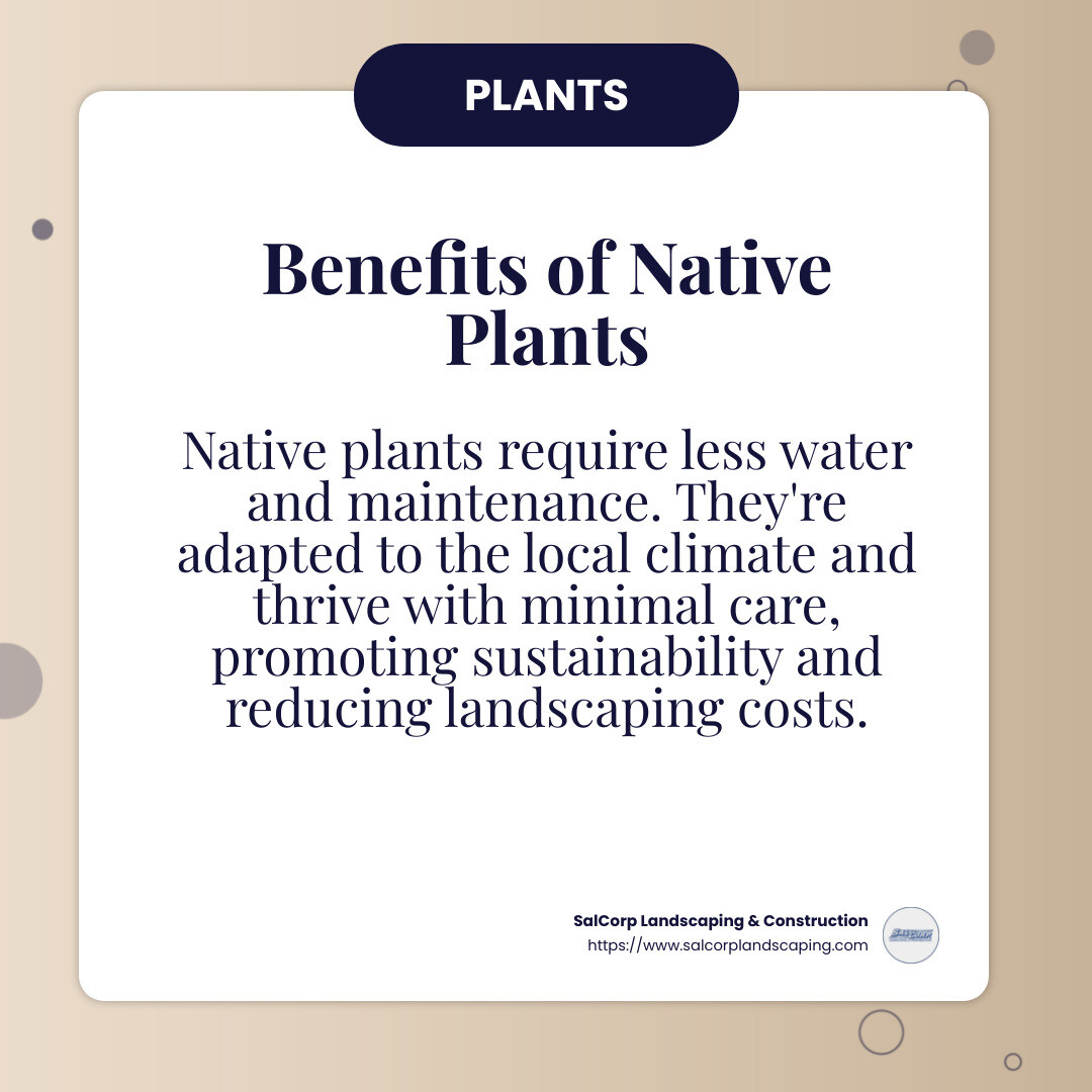 Using native plants can reduce water usage and maintenance needs. Source: SalCorp Landscaping & Construction - landscape contractor infographic simple-info-card
