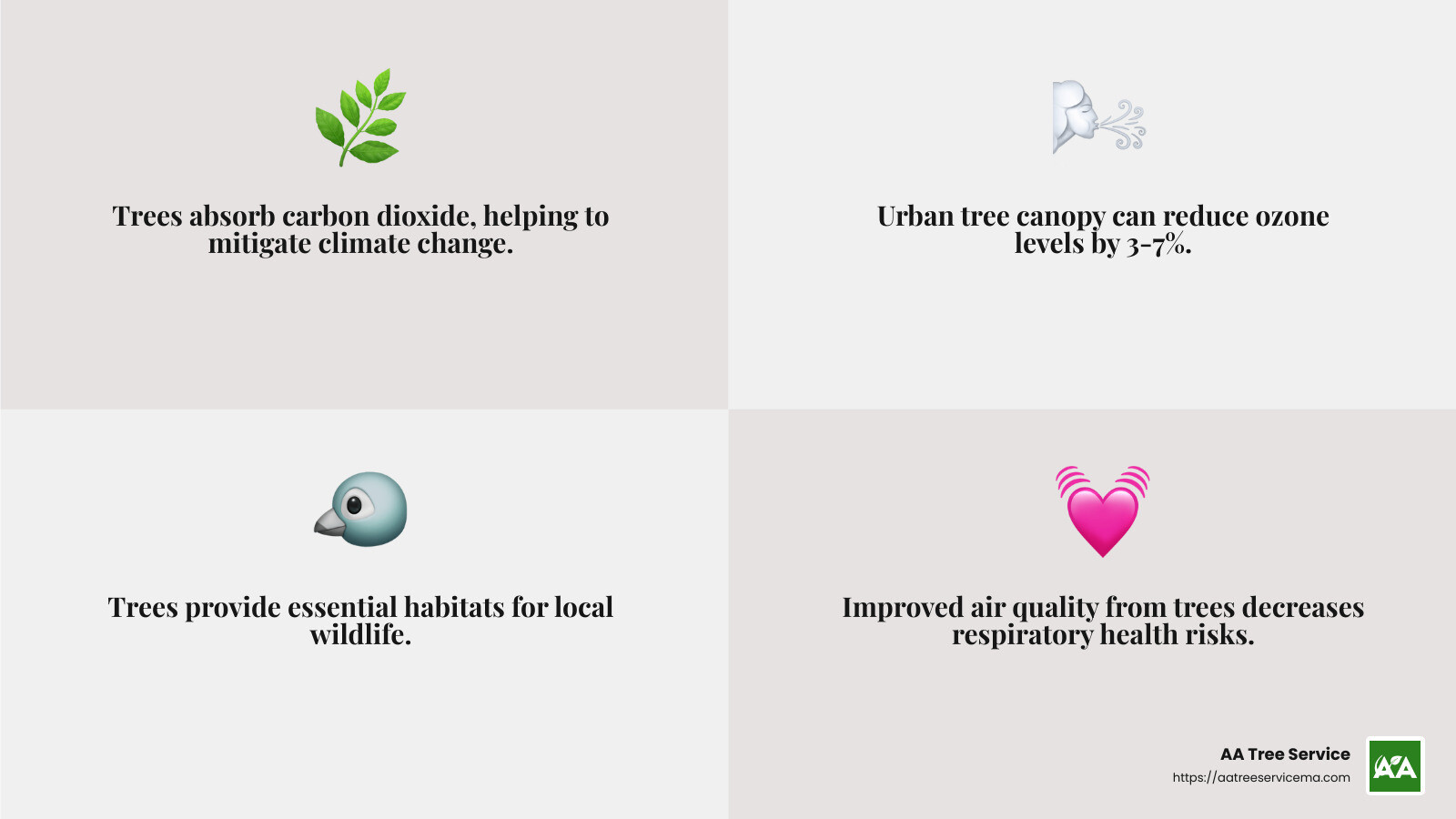 Trees improve air quality in urban areas by filtering pollutants. - newton ma tree removal infographic 4_facts_emoji_grey