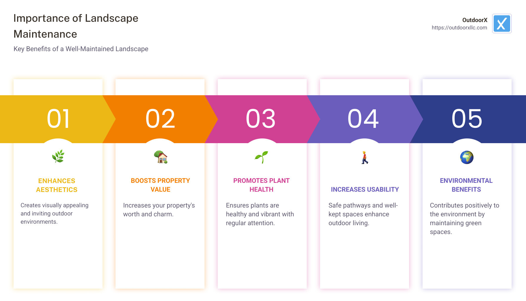 Infographic illustrating the importance of landscaping maintenance, with sections highlighting aesthetics, property value, plant health, and outdoor usability. Visually represented with appealing graphics and icons showcasing landscaping elements. - landscape maintenance infographic pillar-5-steps