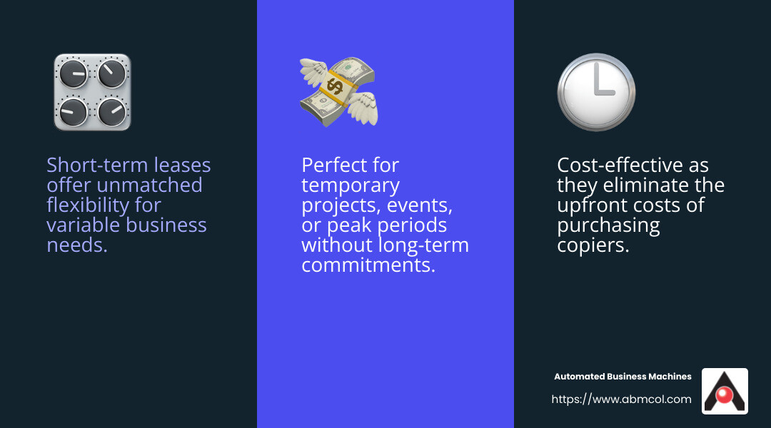 Flexibility, Cost-Effective, Temporary Needs - short term copier lease infographic 3_facts_emoji_blue