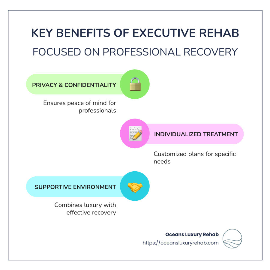 Overview of executive rehab benefits - Executive rehab facilities infographic infographic-line-3-steps-colors