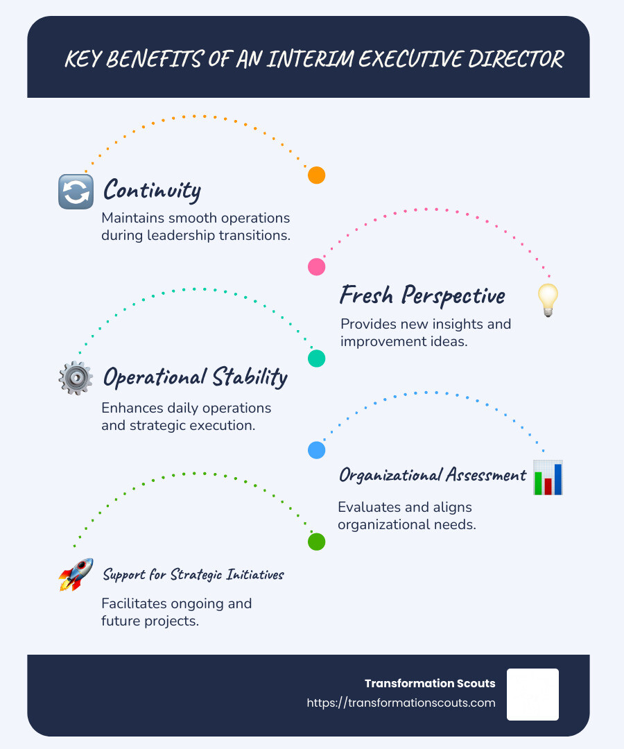 Infographic detailing benefits of an interim executive director: Continuity, Fresh Insights, Stability, Strategic Support, Organizational Assessment - interim executive director infographic infographic-line-5-steps-blues-accent_colors
