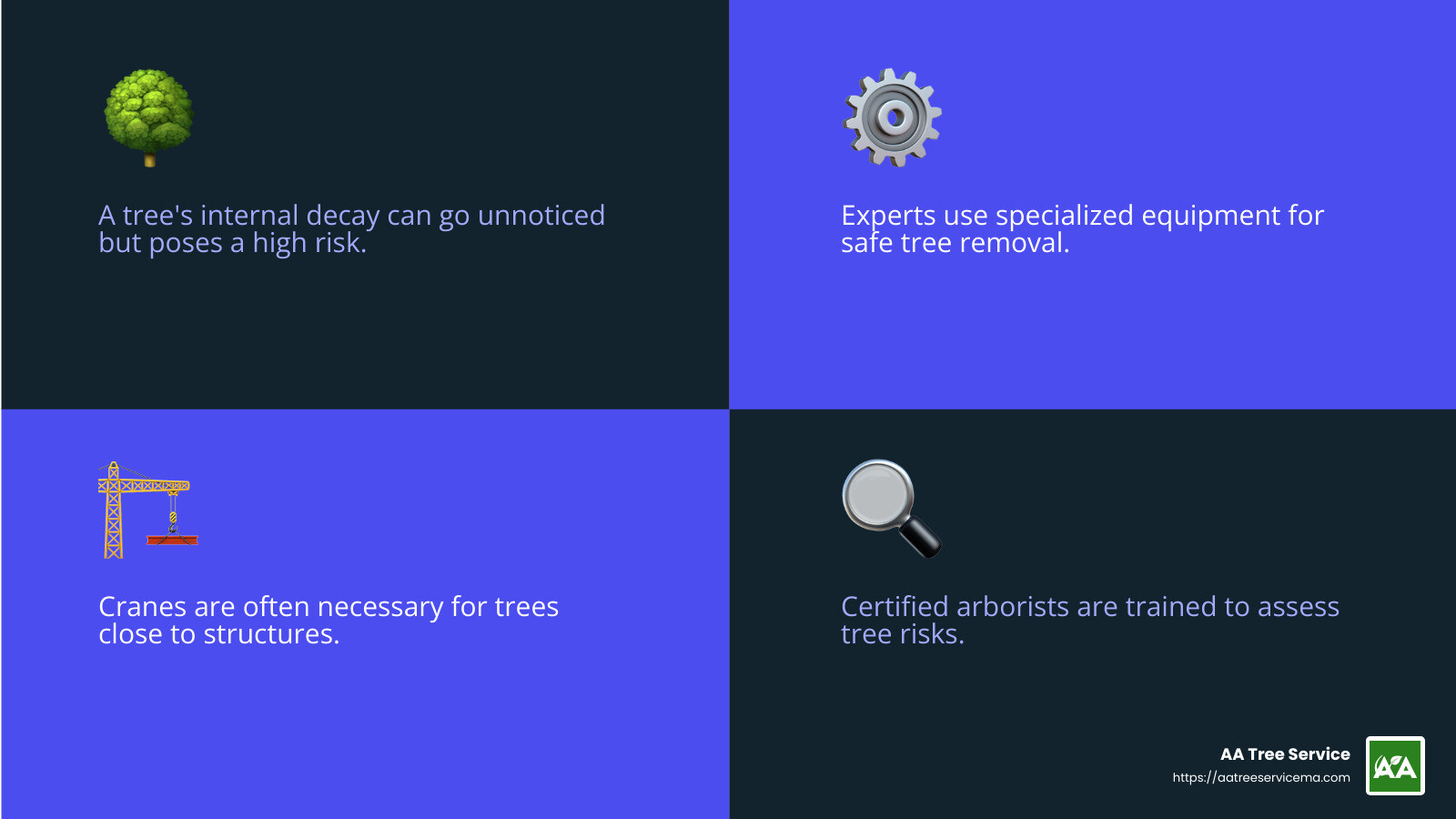 Cranes are often used for safe tree removal in tight spaces - local tree removal infographic 4_facts_emoji_blue Cranes are often used for safe tree removal in tight spaces - local tree removal infographic 4_facts_emoji_blue