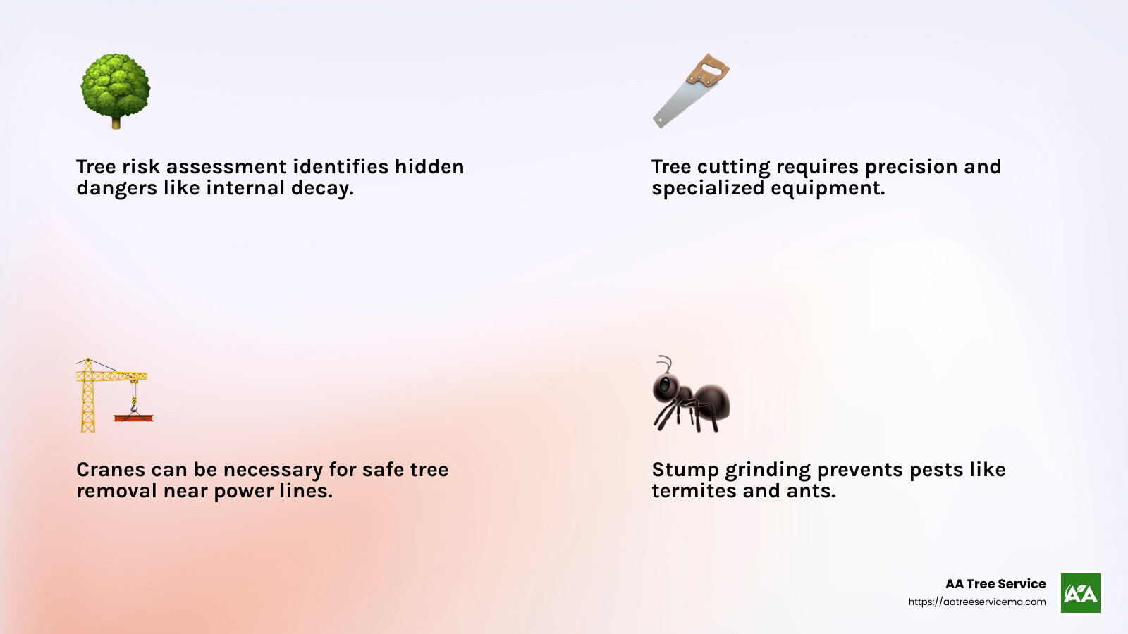 Stump grinding prevents pest infestations - local tree removal infographic 4_facts_emoji_light-gradient Stump grinding prevents pest infestations - local tree removal infographic 4_facts_emoji_light-gradient