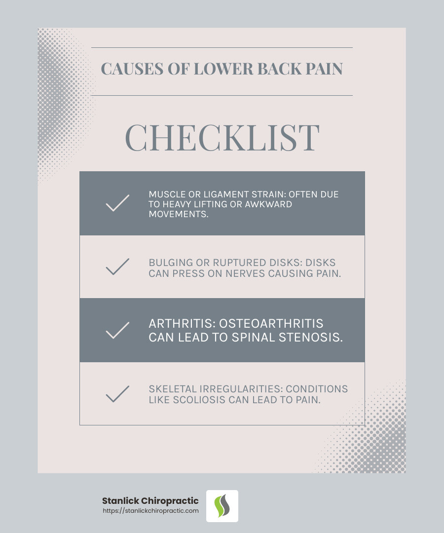 Chiropractor Lower Back Pain Murfreesboro TN: Top 5 Relief Tips