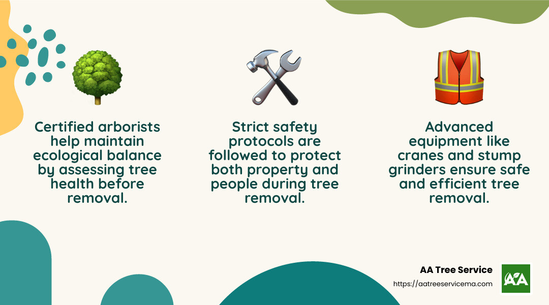 Benefits of Hiring an Arborist - arborist tree removal infographic 3_facts_emoji_nature Benefits of Hiring an Arborist - arborist tree removal infographic 3_facts_emoji_nature