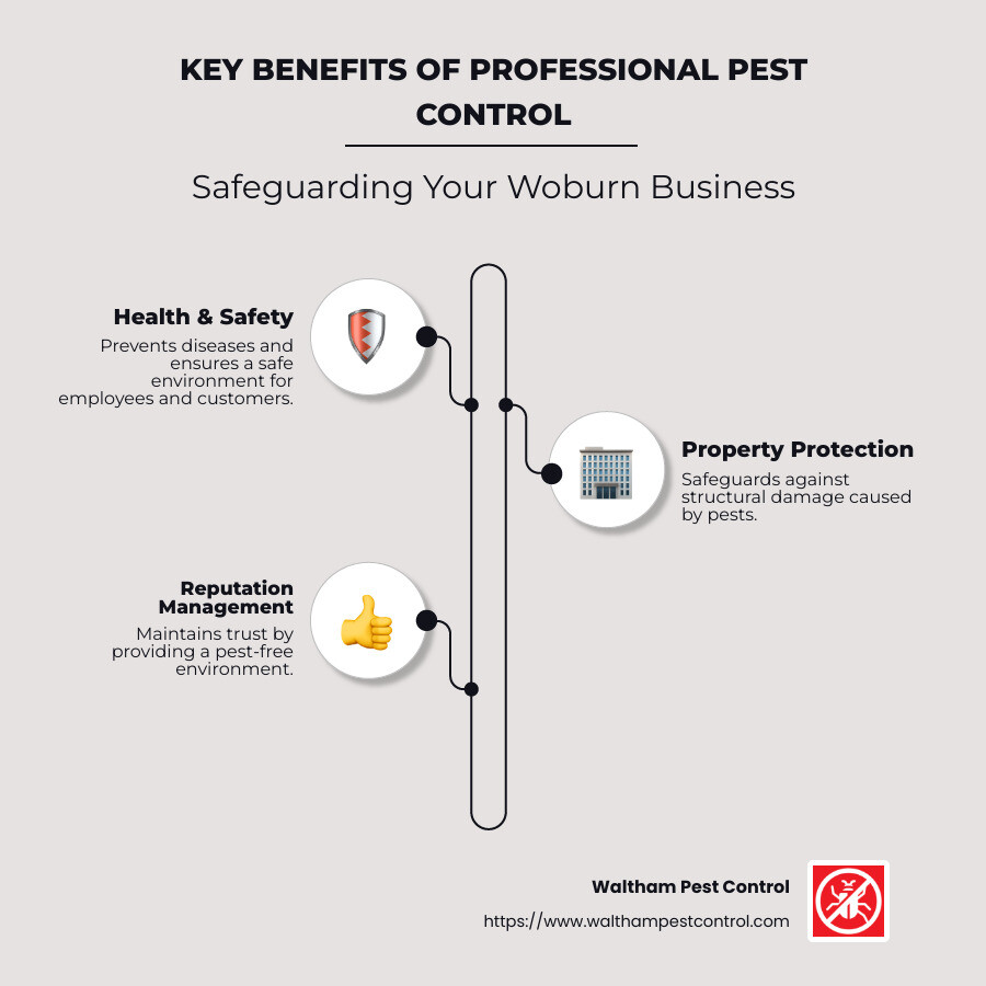 Overview of Woburn Pest Challenges and Impacts on Businesses - commercial pest control services woburn ma infographic infographic-line-3-steps-neat_beige