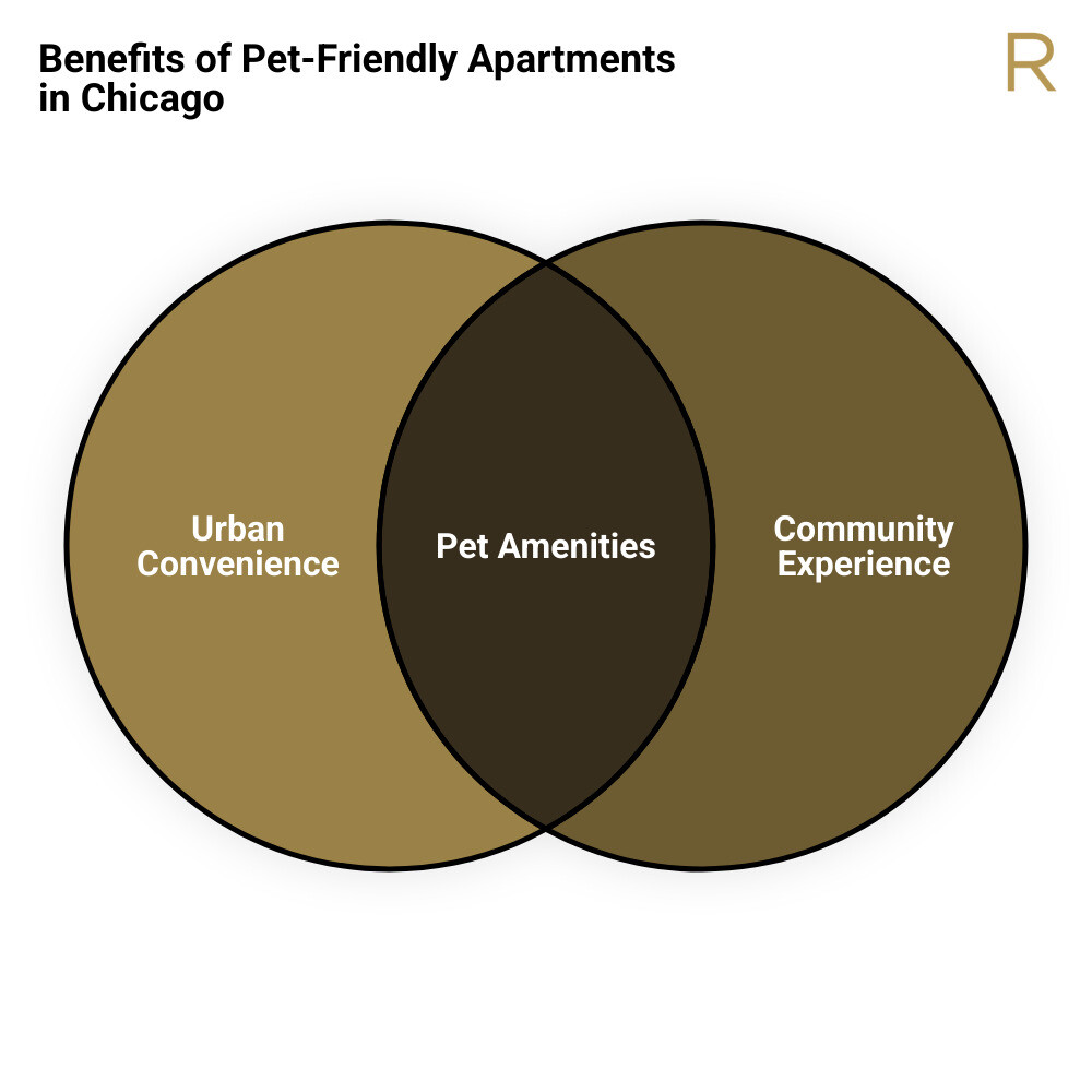 Chicago pet-friendly apartment infographic - pet friendly apartments in chicago infographic venn_diagram Chicago pet-friendly apartment infographic - pet friendly apartments in chicago infographic venn_diagram