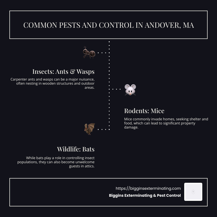 Infographic showing common pests and average control costs in Andover, MA; categories include insects like ants and wasps, rodents like mice, and wildlife like bats - pest control andover ma infographic infographic-line-3-steps-dark