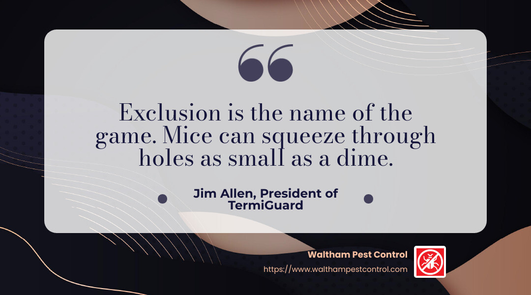 Quote from Jim Allen, President of TermiGuard: "Exclusion is the name of the game. Mice can squeeze through holes as small as a dime." - how does an exterminator get rid of mice infographic simple-quote-landscape-dark