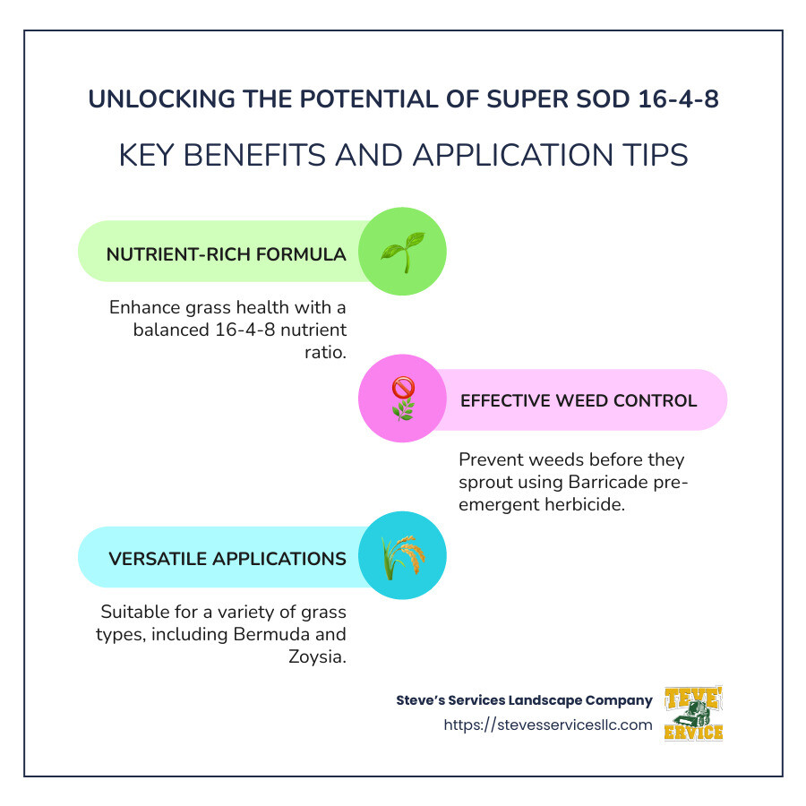 Overview of Super Sod 16-4-8 Fertilizer with Benefits and Application Tips - super sod 16 4 8 infographic infographic-line-3-steps-colors Overview of Super Sod 16-4-8 Fertilizer with Benefits and Application Tips - super sod 16 4 8 infographic infographic-line-3-steps-colors