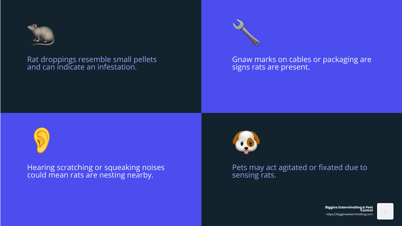 Rat Droppings Infographic - rat experts near me infographic 4_facts_emoji_blue