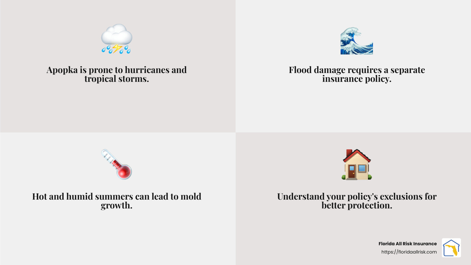 Understanding Florida's Hurricane Risk - home insurance apopka infographic 4_facts_emoji_grey Understanding Florida's Hurricane Risk - home insurance apopka infographic 4_facts_emoji_grey