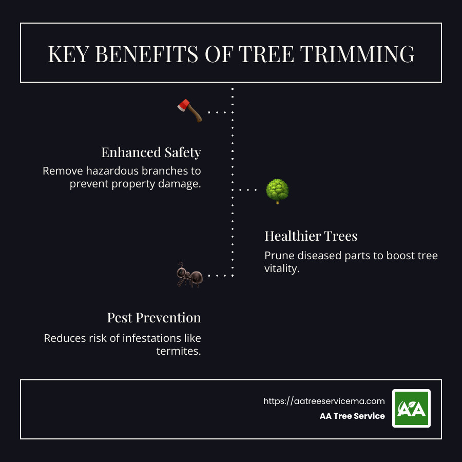 Importance of Tree Trimming: Safety and Health Benefits - tree trimming company infographic infographic-line-3-steps-dark