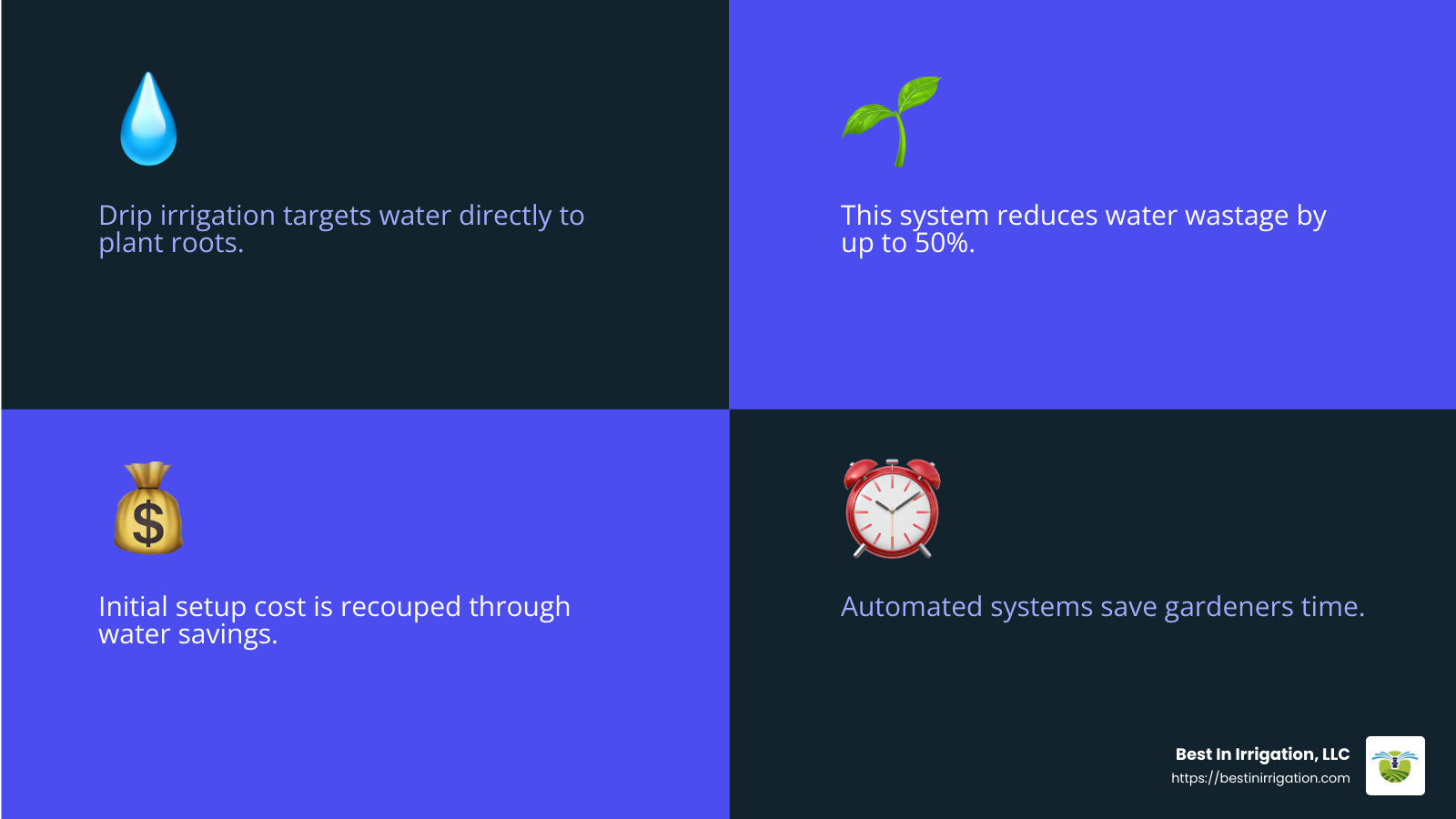 Efficient water use in gardens - Drip irrigation installation infographic 4_facts_emoji_blue