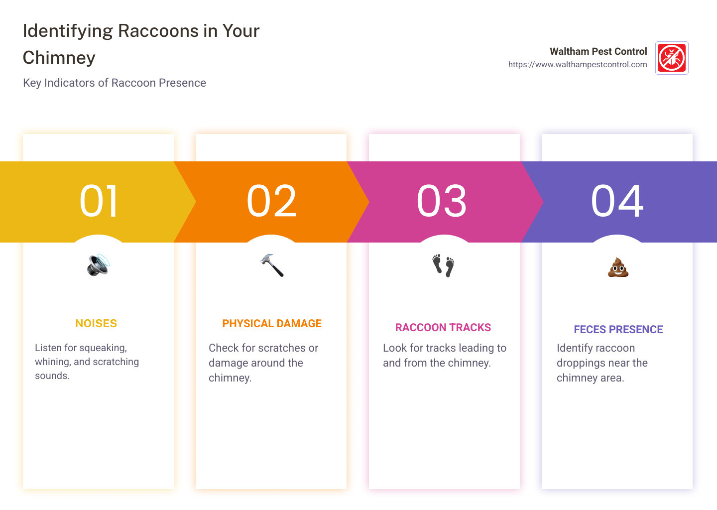 Infographic showing common signs of raccoon presence in chimneys - raccoon in chimney infographic pillar-4-steps