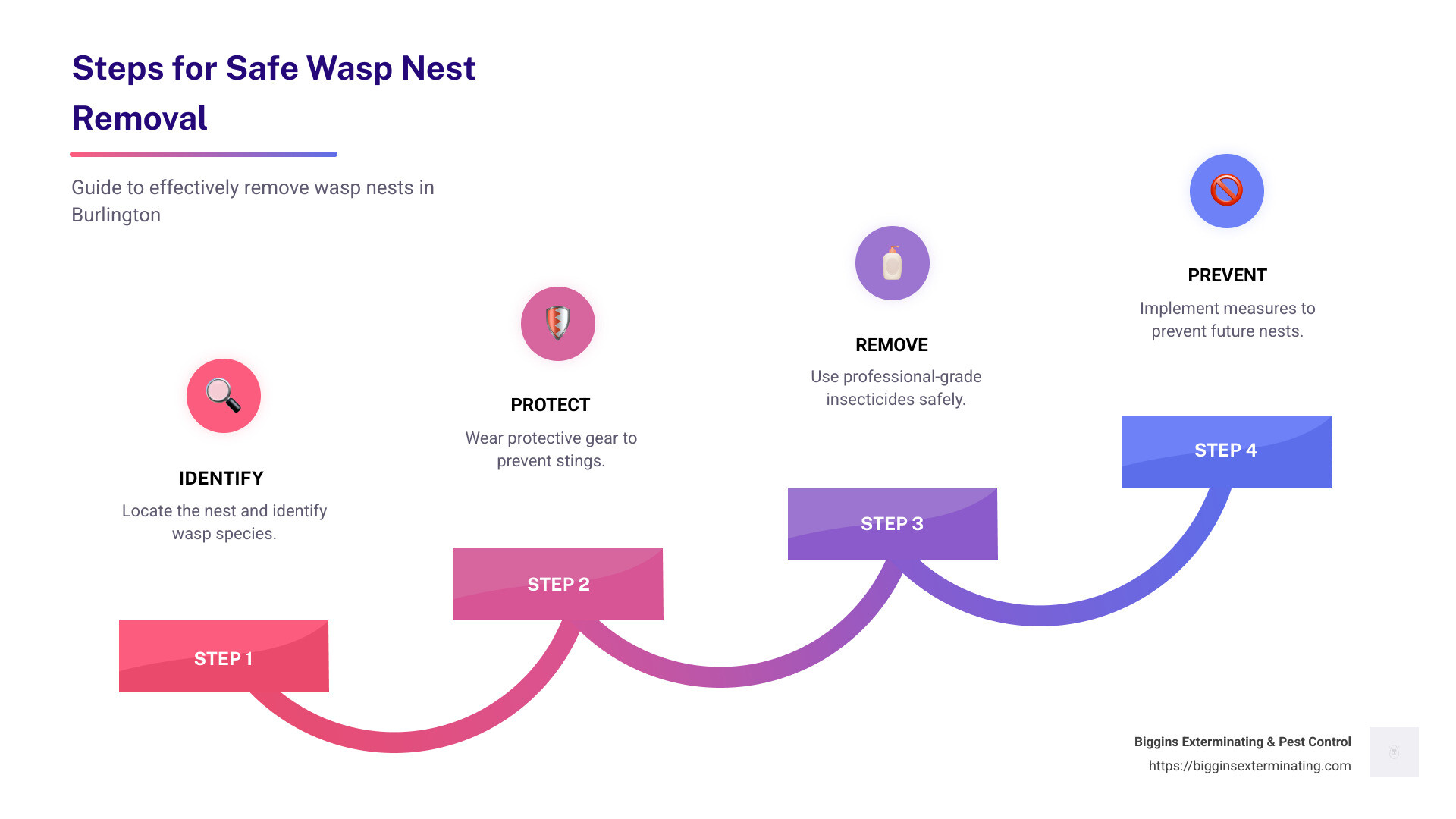 Steps for Safe Wasp Nest Removal: Identification, Protection, Removal, and Prevention - Wasp nest removal Burlington infographic step-infographic-4-steps