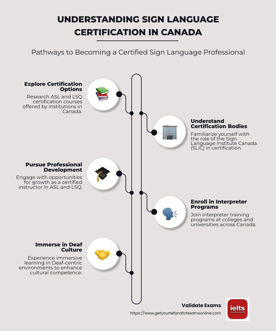 Detailed infographic on sign language certification options and programs in Canada - sign language certification canada infographic infographic-line-5-steps-neat_beige