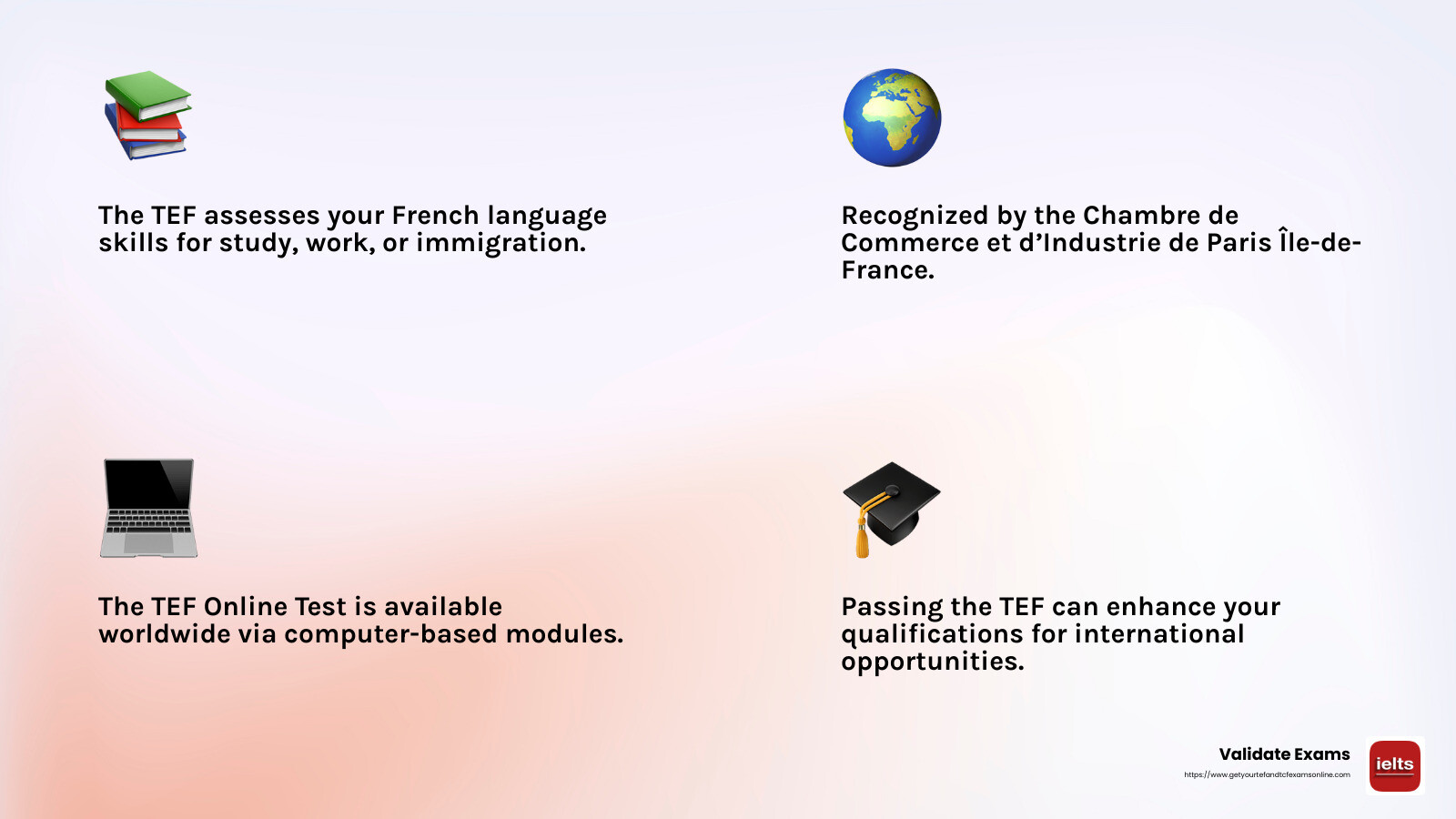 TEF Exam Overview - tef online test infographic 4_facts_emoji_light-gradient