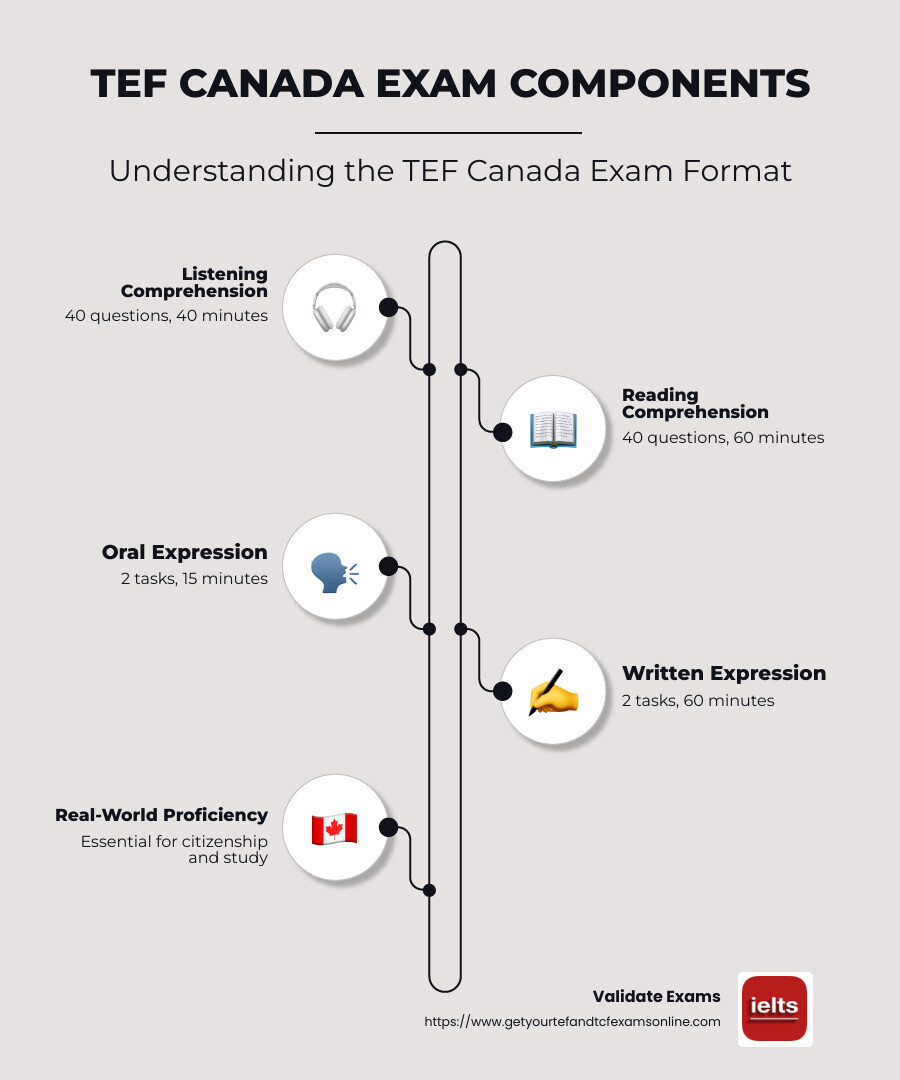 Infographic detailing the TEF Canada exam components and their duration - tef canada exam format infographic infographic-line-5-steps-neat_beige