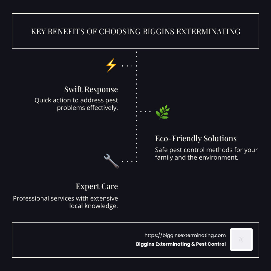 Infographic showing quick response, eco-friendly solutions, and expert care ways that Biggins Exterminating offers pest control Andover MA. - exterminator andover ma infographic infographic-line-3-steps-dark Infographic showing quick response, eco-friendly solutions, and expert care ways that Biggins Exterminating offers pest control Andover MA. - exterminator andover ma infographic infographic-line-3-steps-dark