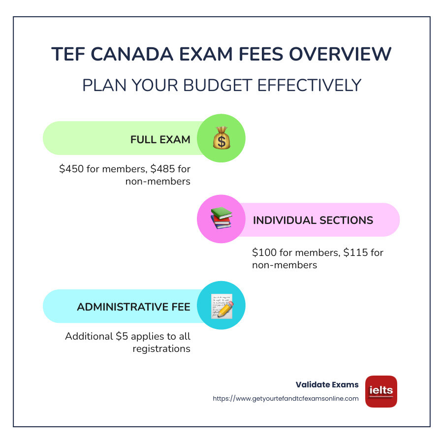 Infographic detailing TEF Canada exam fees and structure for easy budgeting - tef canada exam fees infographic infographic-line-3-steps-colors