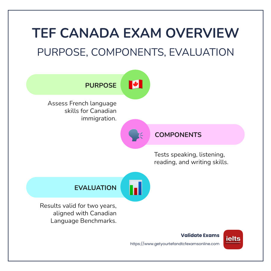 TEF Canada Exam Overview Infographic detailing purpose, components, and the evaluation process for Canadian immigration - tef canada practice test infographic infographic-line-3-steps-colors