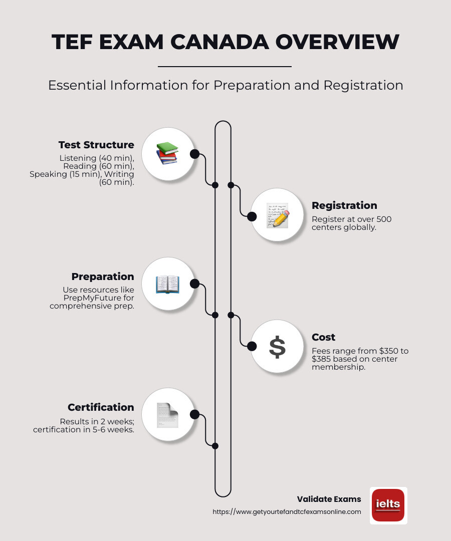 Infographic of TEF Exam Canada structure, registration process, and key dates - TEF exam Canada infographic infographic-line-5-steps-neat_beige