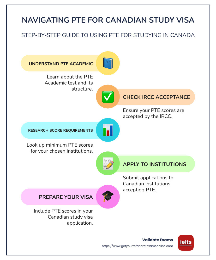 Overview of PTE Acceptance in Canada - pte is valid for canada study visa infographic infographic-line-5-steps-colors