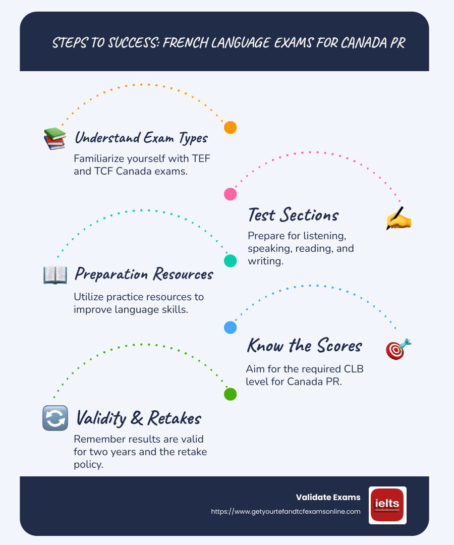 Detailed infographic illustrating the main points of french language exams for Canadian PR, showing exam types, sections, and benefits - french language exam for canada pr infographic infographic-line-5-steps-blues-accent_colors