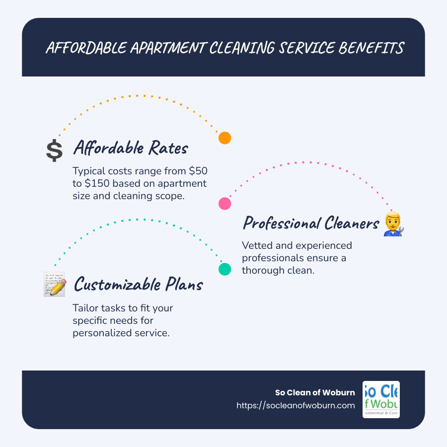 Infographic detailing average prices, features of cleaning services, and customizable options - Affordable apartment cleaning service infographic infographic-line-3-steps-blues-accent_colors