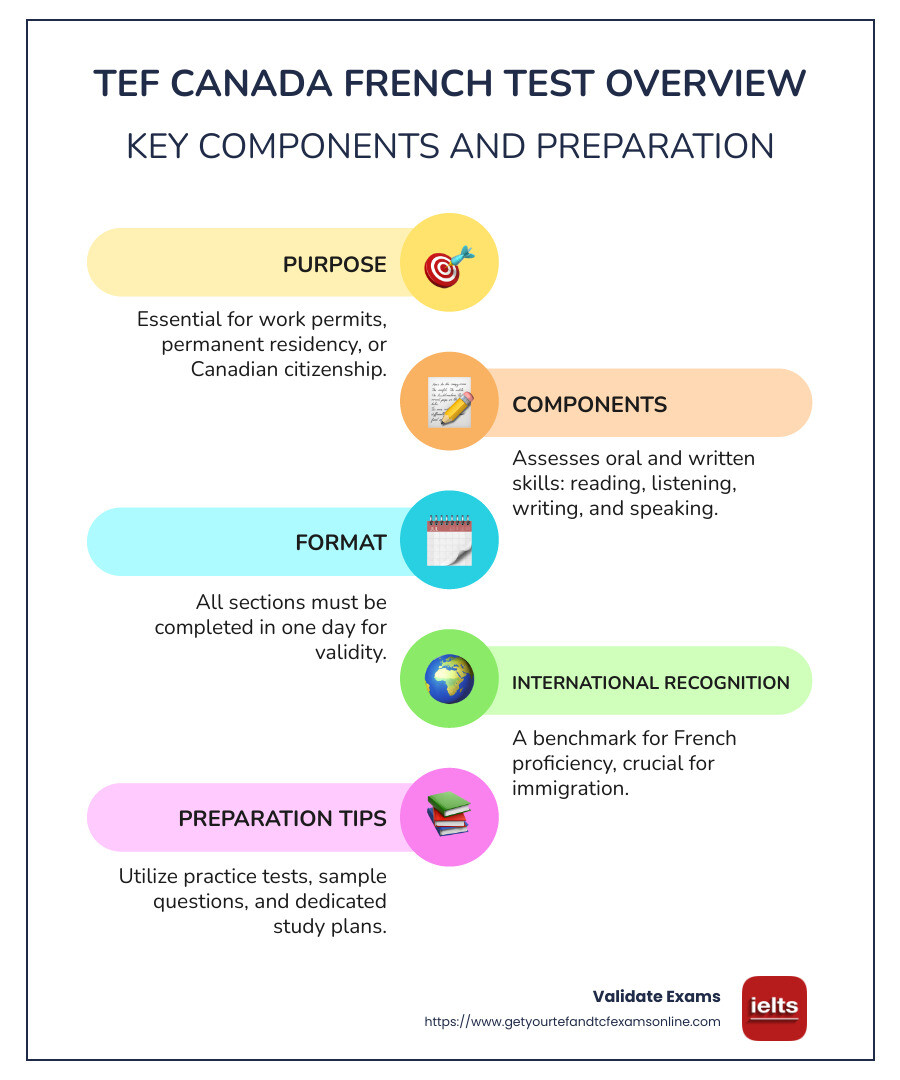 Infographic detailing the TEF Canada French test components and purpose - tef canada french test infographic infographic-line-5-steps-colors