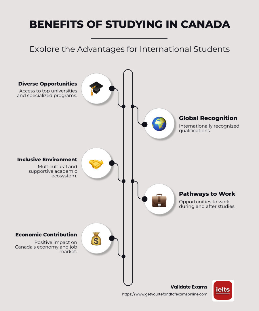 Infographic on International Education Benefits in Canada - education international canada infographic infographic-line-5-steps-neat_beige