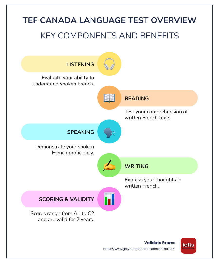 Infographic detailing the TEF Canada language test components and benefits, including section breakdown, scoring levels, duration, and validity - tef canada language test infographic infographic-line-5-steps-colors