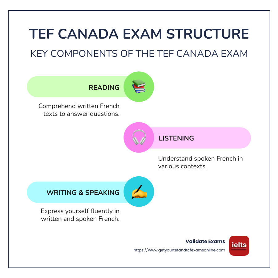 Infographic detailing TEF Canada exam structure and purpose - TEF Canada certificate infographic infographic-line-3-steps-colors