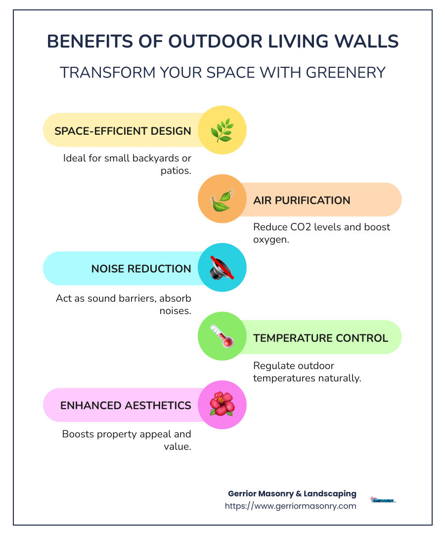 Outdoor living wall benefits infographic - Outdoor living walls infographic infographic-line-5-steps-colors