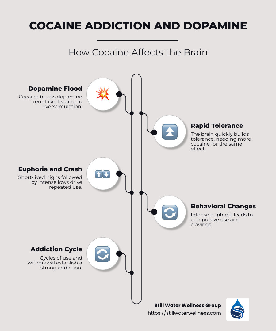 Infographic showing how cocaine increases dopamine levels, leading to addiction - is cocaine addictive infographic infographic-line-5-steps-neat_beige